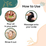 How to use Scalp root hair oil