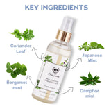 Key ingredients of Heat Absorbing Body & Foot Mist